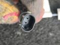 датчик ABS BMW X1 U11 2023, 2.0 л., бензин, АКПП, 475, внедорожник 5 дв., полный привод, 5A3BAF7 - фото №4