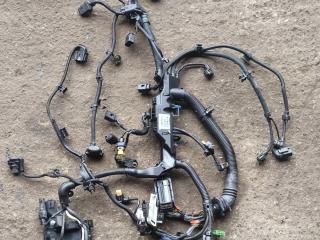 проводка двигателя BMW 4 серия F32/F33 F36 2016, 2.0 л., D, B47 D20 A, дизель, АКПП, черный, хетчбэк 5 дв., полный привод, правый руль, 7580568, 8571084, 8516258