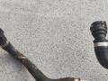 патрубок радиатора BMW M4 G82/G83 G82 2022, 3.0 л., S58B30A, бензин, c4p, купе, задний привод - фото №2