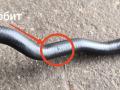патрубок радиатора BMW M8 F91/92 F93 2020, 4.4 л., S63 B44 B, бензин, АКПП, седан, полный привод, 17128747917, 8747917 - фото №5