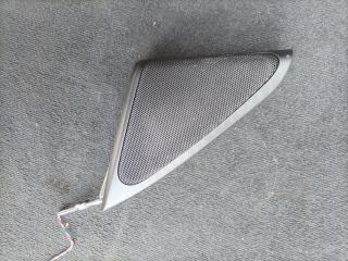 динамик высокочастотный (пищалка) BMW 7 серия F01/F02 F01 2009, 3.0 л., N57 D30 A, дизель, АКПП, задний привод