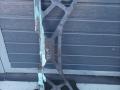 Распорка (растяжка) телевизора BMW XM G09 G09 2023, 4.4 л., S68B44, бензин, электро, АКПП, 475, внедорожник 5 дв., полный привод, 8078061 - фото №2