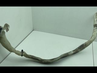 горловина бачка омывателя BMW 5 серия F07/F10/F11 2012, 3.0 л., D, дизель, АКПП, ceрый, хетчбэк 5 дв., задний привод, правый руль, 7237777