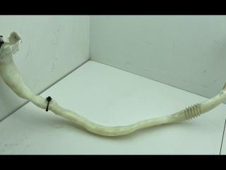 горловина бачка омывателя BMW 5 серия F07/F10/F11 [рестайлинг] F10 2013, 2.0 л., N20 B20 A, бензин, АКПП, седан