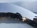 накладка колесной арки задний правый BMW XM G09 G09 2023, 4.4 л., S68B44, бензин, электро, АКПП, 475, внедорожник 5 дв., полный привод, 9450922, 51779450922 - фото №2