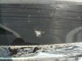 спойлер BMW XM G09 G09 2023, 4.4 л., S68B44, бензин, электро, АКПП, 475, внедорожник 5 дв., полный привод, 51629451800 - фото №4