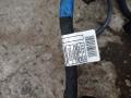 Проводка КПП BMW X5 F15 2014, 4.0 л., дизель, АКПП, rubinschwarz metallic (x03), внедорожник 5 дв., полный привод, 8516446, 8516445 - фото №2
