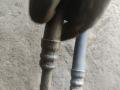 шланг (трубка) АКПП BMW X5 E53 2002, 3.0 л., M57 D30 (306D1), дизель, 2248867, 2248868 - фото №3