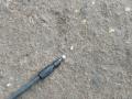 трос капота BMW X1 U11 2023, 2.0 л., бензин, АКПП, 475, внедорожник 5 дв., полный привод, 5A1AE10 - фото №2