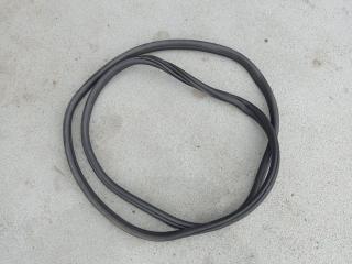 уплотнитель двери BMW X3 G01 2020, 2.0 л., B47 D20 B, дизель, АКПП, 416, внедорожник 5 дв., полный привод, 7393449