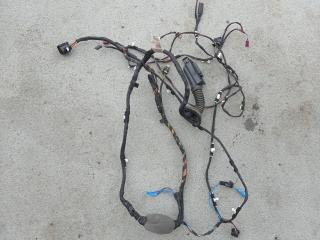 дверная проводка BMW X3 G01 [рестайлинг] G01 2022, 4.0 л., B57 D30 B, дизель, АКПП, внедорожник 5 дв., полный привод, 5A21DA1