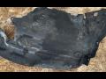 защита арок передняя левая (подкрылок) BMW 5 серия F07/F10/F11 2010, 4.4 л., i, N63 B44 A, бензин, АКПП, белый, хетчбэк 5 дв., задний привод - фото №2