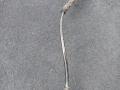 датчик ABS BMW 4 серия G22/G23 G23 2022, 3.0 л., B57 D30 B, дизель, АКПП, a300, кабриолет, задний привод, 6894815, 34526894815 - фото №3