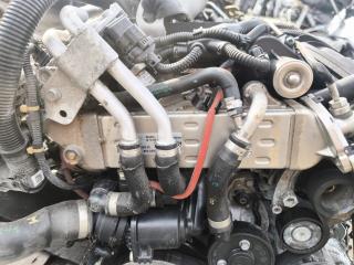 охладитель EGR / Радиатор EGR BMW 6 GT G32 2019, 3.0 л., B57 D30 A, дизель, АКПП, a90, хетчбэк 5 дв., полный привод, 8570655