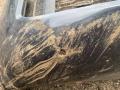 бампер передний BMW X5 G05 2021, 3.0 л., гибрид, АКПП, c27, внедорожник 5 дв., полный привод - фото №10