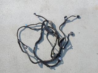 дверная проводка BMW 4 серия G22/G23 G23 2022, 3.0 л., B57 D30 B, дизель, АКПП, a300, кабриолет, задний привод, 4208353, 5A1D499E4F050