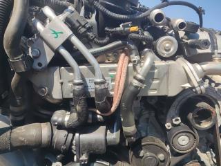 охладитель EGR / Радиатор EGR BMW X5 G05 2019, 5.0 л., B57 D30 C, дизель, АКПП, 475, внедорожник 5 дв., полный привод, правый руль, 8513132, 8599832