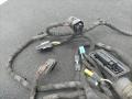 дверная проводка BMW M4 G82/G83 G82 2022, 3.0 л., S58B30A, бензин, c4p, купе, задний привод, 6194142 - фото №2