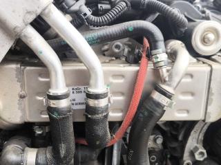 охладитель EGR / Радиатор EGR BMW X6 G06 2020, 3.0 л., B57 D30 A, дизель, АКПП, внедорожник 5 дв., полный привод, 8599832