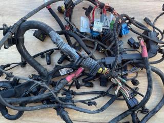 проводка двигателя BMW X5 E70 [рестайлинг] 2012, 3.0 л., дизель, серебристый, внедорожник 5 дв., правый руль, 7808245, 7808239, 8570579, 7807801