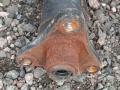 карданный вал BMW 5 серия F07/F10/F11 2011, 3.0 л., N52 B30, бензин, АКПП, седан, 7563126 - фото №4