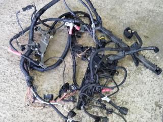 проводка двигателя BMW 5 серия F07/F10/F11 2011, 3.0 л., N52 B30, бензин, АКПП, седан, 7593354, 7598931, 7584632