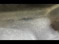 кожух (защита) рулевого механизма BMW 3 серия F30/F31/F34 2014, 2.0 л., дизель, хетчбэк 5 дв., 7274866 - фото №2