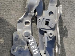 петля капота правая BMW Z4 E89 2013, 2.0 л., i, N20 B20 A, бензин, АКПП, родстер, задний привод, 7285818
