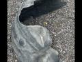 защита арок задняя левая (подкрылок) BMW 6 серия F06/F12/F13 F12 2011, 4.4 л., N63 B40 A, бензин, АКПП, купе, полный привод - фото №2
