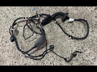 дверная проводка BMW X3 G01 2018, 3.0 л., i, B58 B30 A, бензин, АКПП, c1m, внедорожник 5 дв., полный привод, правый руль, 8793254