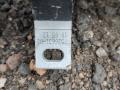 карданный вал BMW 3 серия F30/F31/F34 F30 2012, 2.0 л., D, N47 D20 C, дизель, МКПП, 300, седан, задний привод, правый руль, 7600183 - фото №3