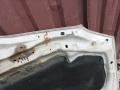 капот Nissan Almera Tino V10 2003, 2.2 л., дизель, МКПП, минивэн - фото №14
