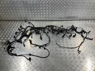 проводка двигателя Mercedes-Benz S-Класс W221 [рестайлинг] 2010, 5.5 л., M 273.961, бензин, седан, A2730100698