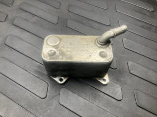 радиатор масляный Volkswagen Passat B6 2005, 2.0 л., BPY, бензин, 06D117021C