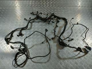 проводка двигателя Mercedes-Benz M-Класс W164 2007, 3.0 л., OM 642.820, дизель, АКПП, внедорожник 5 дв., A6421507533