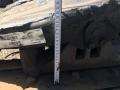 седельно-сцепное устройство MAN TGX 1 поколение 2016, 12.4 л., D 2676 LF 46, дизель, АКПП, правый руль - фото №5