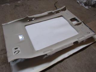 потолок Lexus NX 1 поколение [рестайлинг] 2020, 2.5 л., гибрид