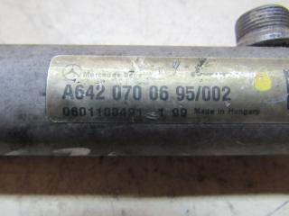 топливная рампа Mercedes-Benz E-Класс W211/S211 [рестайлинг] 2008, 3.0 л., OM 642.920, дизель, седан, A6420700695