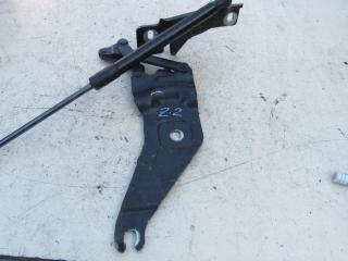 петля капота левая BMW X5 E70 2007, 3.0 л., M57 D30 (306D1), дизель, внедорожник 5 дв., 7208627