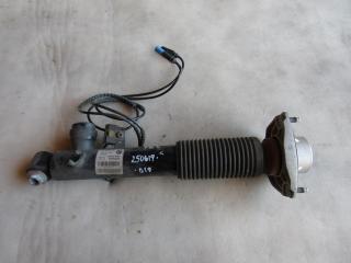 амортизатор задний левый BMW X6 F16 2015, 3.0 л., N57 D30 A, дизель, внедорожник 5 дв., 6875087