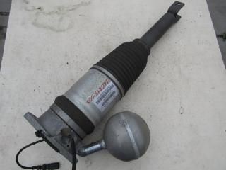 пневмостойка задняя Volkswagen Phaeton 1 поколение 2008, 3.0 л., дизель, седан, 3D0616001N