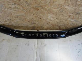 пластик Toyota Land Cruiser J100 1998, 4.2 л., 1HD-FTE, дизель, внедорожник 5 дв.