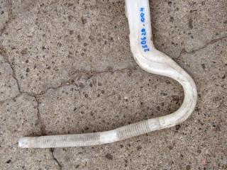 горловина бачка омывателя Audi Q7 4L [рестайлинг] 2012, 4L0955463A