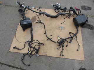 проводка Toyota Tundra 2 поколение [3-й рестайлинг] 2023, 3.5 л., бензин