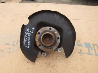 ступица задняя левая Peugeot 5008 2 поколение 2020, 2.0 л., дизель