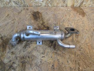 охладитель EGR / Радиатор EGR Volkswagen Transporter T5 2005, 038131513J