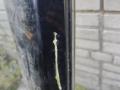 накладка на порог Mercedes-Benz E-Класс W211/S211 S211 2003, 3.2 л., дизель, АКПП, синий, универсал - фото №2
