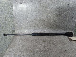 амортизатор крышки багажника (3-5 двери) Renault Scenic 3 поколение (2009 - 2012), 904500004R