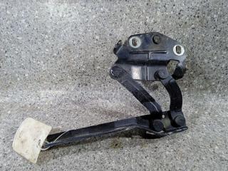 петля капота левая Volkswagen Passat B6 (2005 - 2010), 3C0823301E