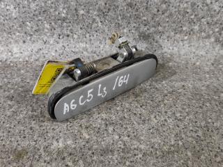 ручка наружная задняя левая Audi A6 4B/C5 (1997 - 2001)